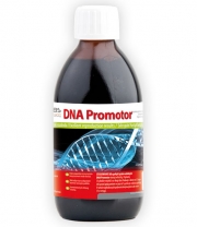 DNA Promotor
